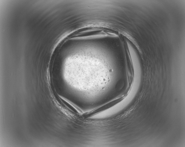 X0000061140936200512022243