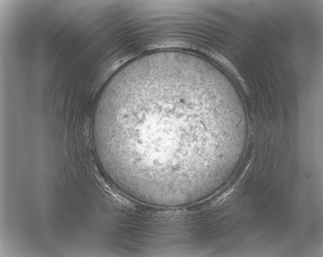 X0000061140937200512022243