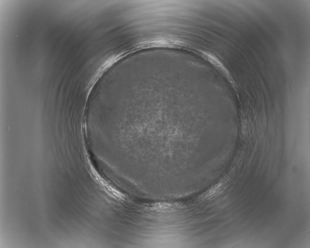 X0000061140938200512022244