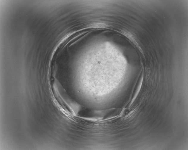 X0000061140939200512022244