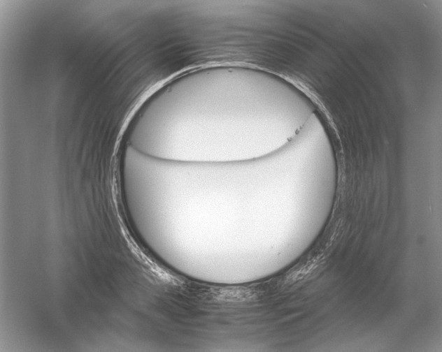 X0000061140941200512022244