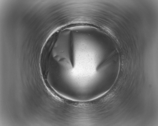 X0000061140942200512022244