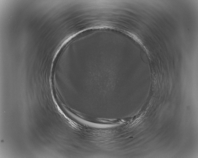 X0000061140943200512022244