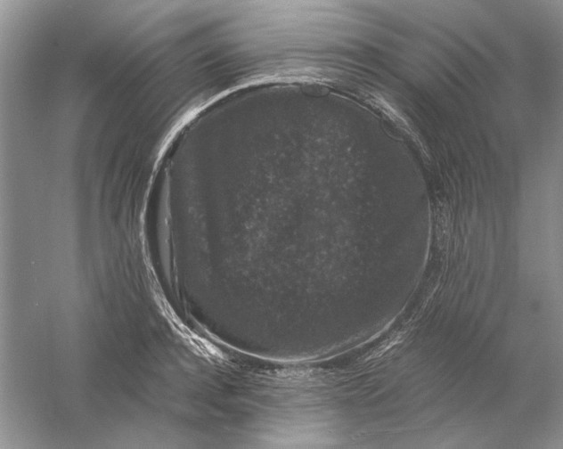 X0000061140944200512022244