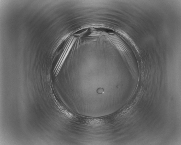 X0000061140945200512022244