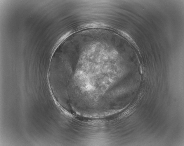 X0000061140946200512022244