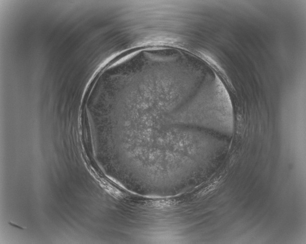 X0000061140948200512022244