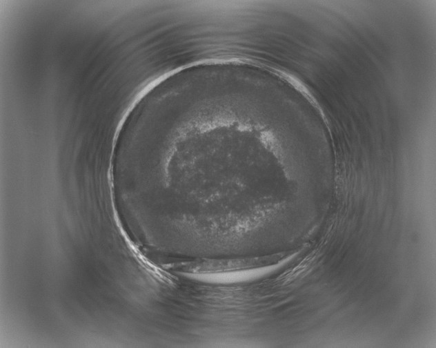 X0000061140951200512022244