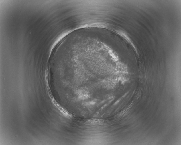 X0000061140952200512022244