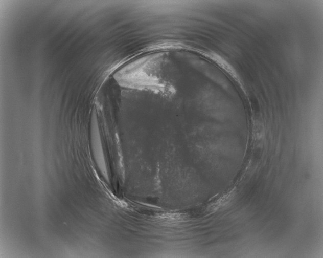 X0000061140953200512022244