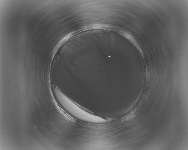 X0000061140954200512022244