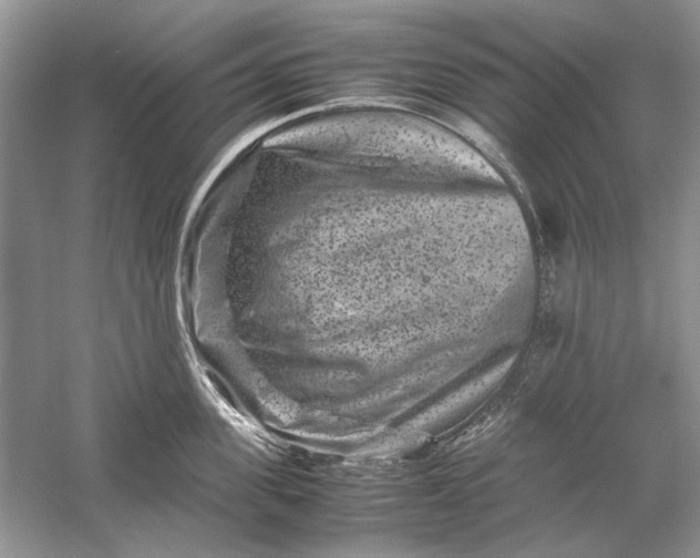 X0000061140955200512022244