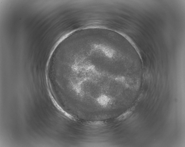 X0000061140957200512022244