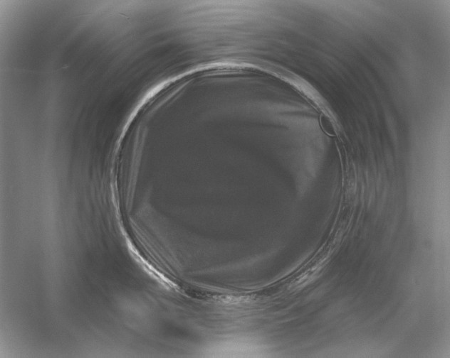 X0000061140958200512022244