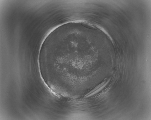 X0000061140959200512022244