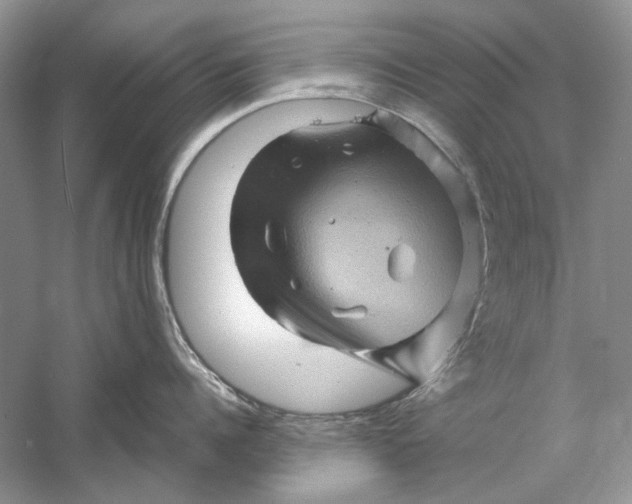 X0000061140960200512022244