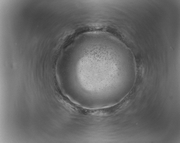 X0000061140961200512022243