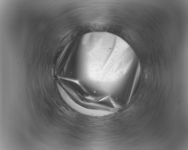 X0000061140964200512022243