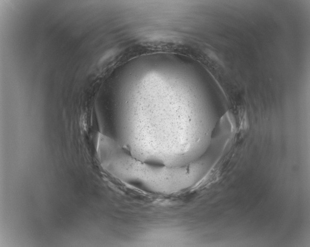 X0000061140965200512022243