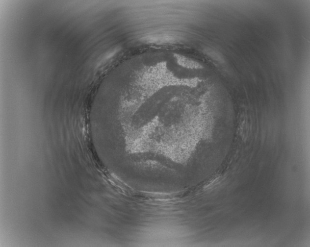 X0000061140966200512022243