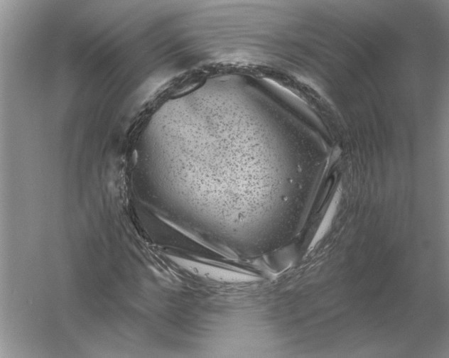 X0000061140968200512022243