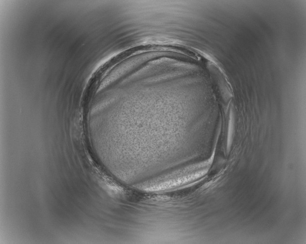 X0000061140971200512022243