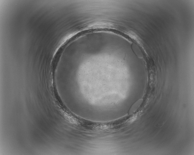 X0000061140973200512022243