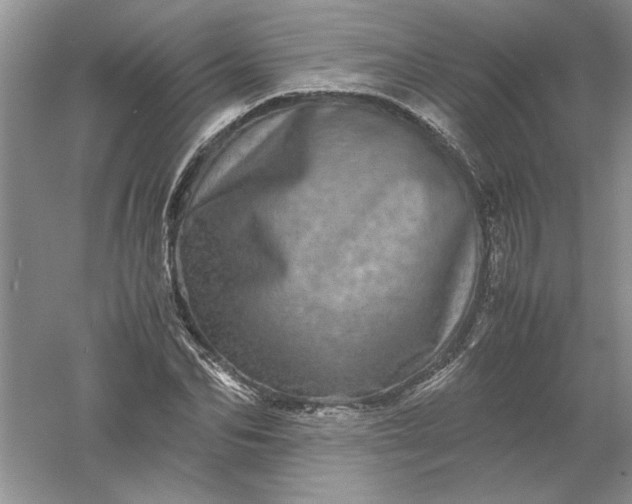 X0000061140974200512022243