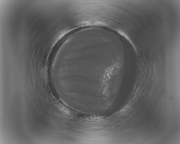 X0000061140975200512022243