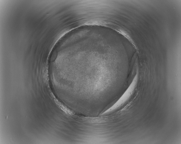 X0000061140976200512022243