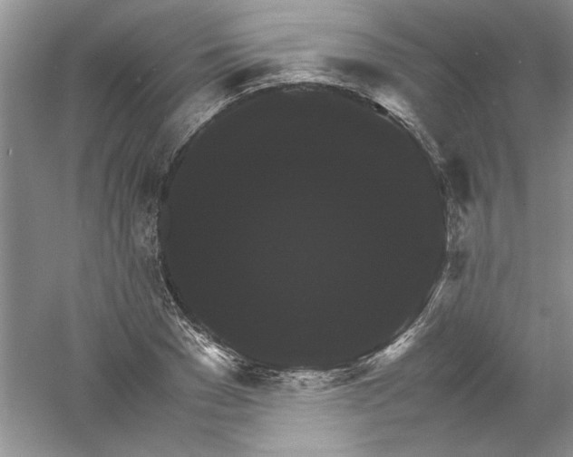 X0000061140977200512022243