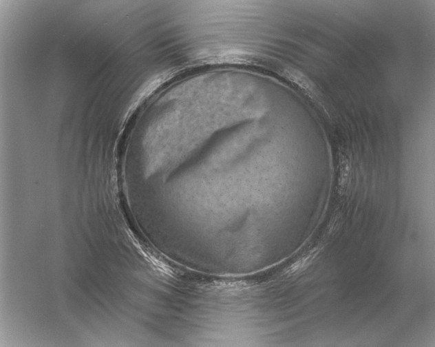 X0000061140978200512022243