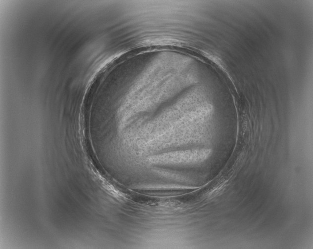 X0000061140979200512022243