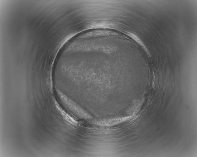 X0000061140980200512022243