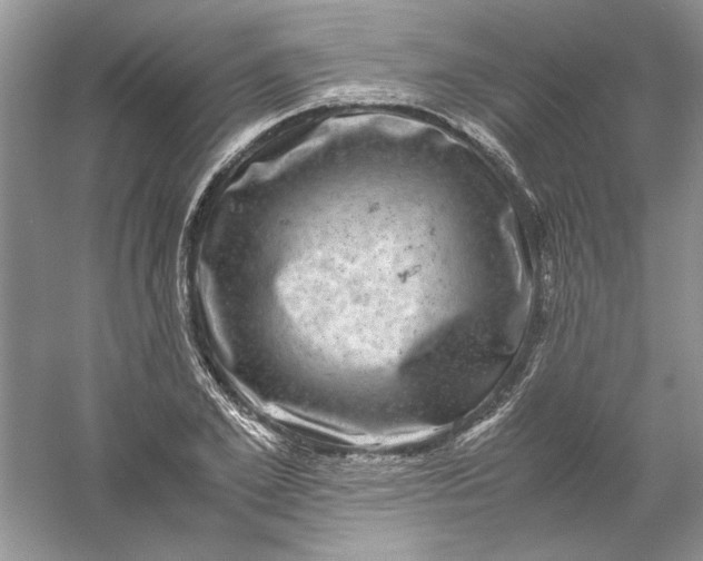 X0000061140981200512022243