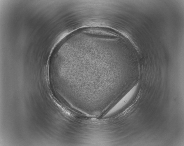 X0000061140982200512022243