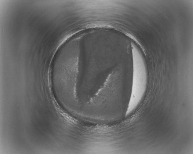 X0000061140983200512022243