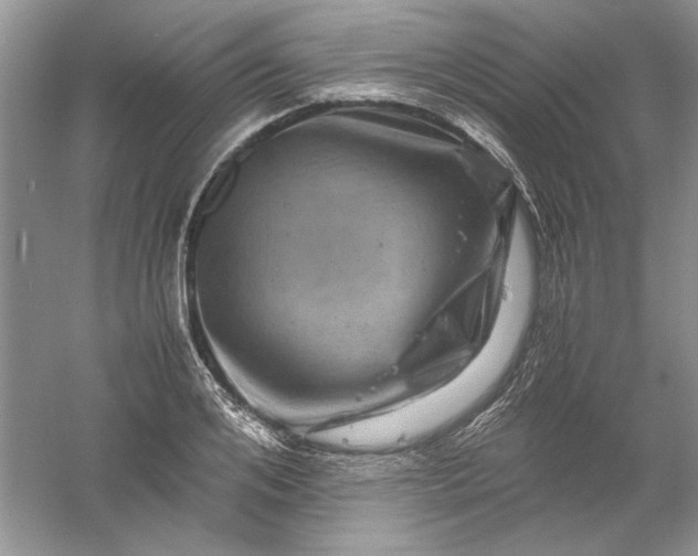 X0000061140984200512022243