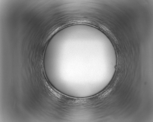 X0000061140985200512022243