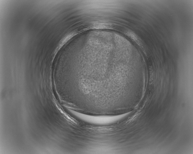 X0000061140986200512022243