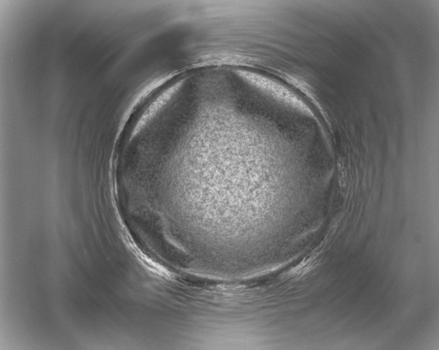 X0000061140987200512022243