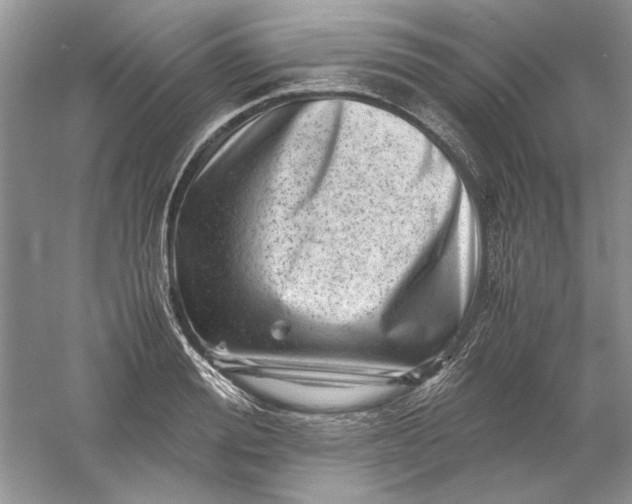 X0000061140988200512022243