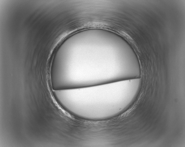 X0000061140989200512022243