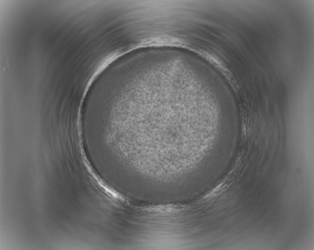 X0000061140990200512022243