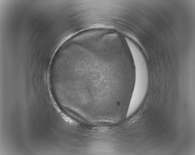 X0000061140991200512022243