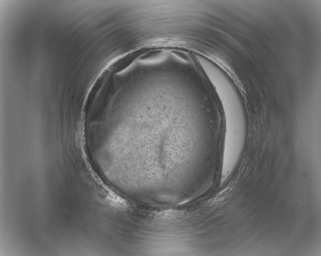 X0000061140992200512022243