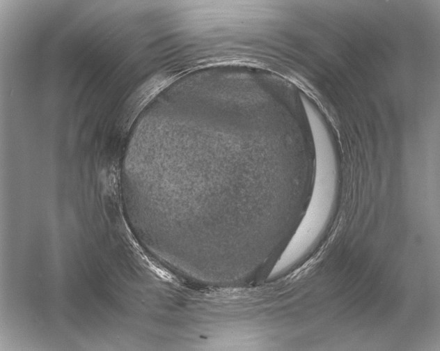 X0000061140993200512022242