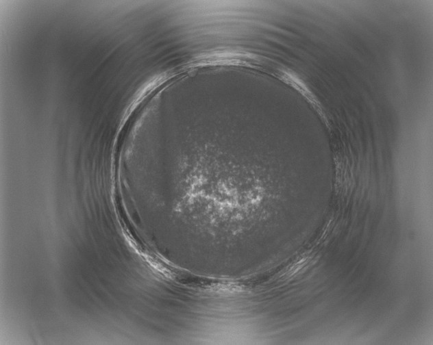 X0000061140994200512022242