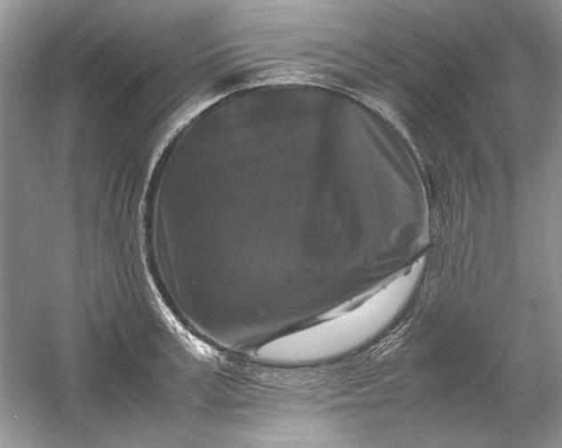 X0000061140995200512022242