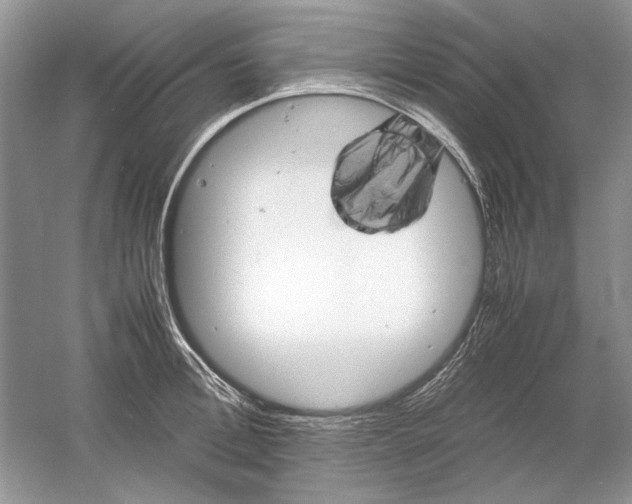 X0000061140996200512022242